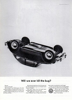 killed_bug killed_bug